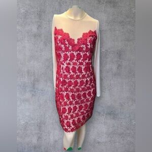 Forever 21 Red Lace Dress with Sheer Sleeves – Perfect for the Holidays!